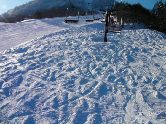 9：07　標高は1000ｍ程度の所だと思いますが、北向きで高社山の日影になるので高品質が保たれているのかも知れません