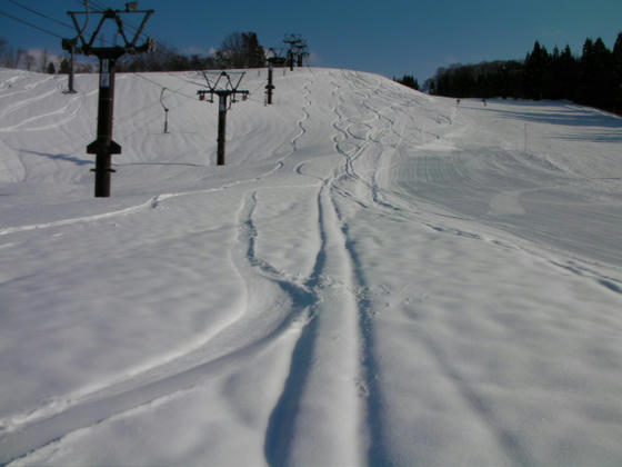 1437　リフト際頂きました。この時間には軽いザラメという感じの雪になっていました