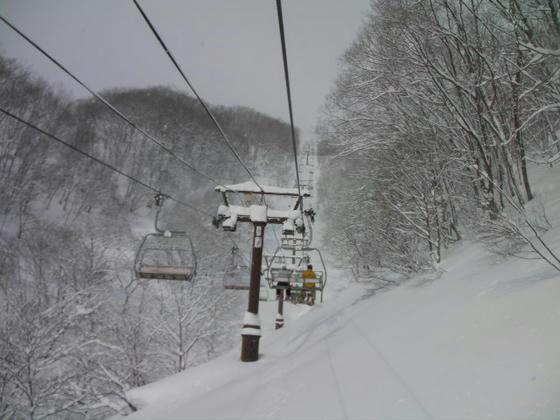 921 ハンの木第2Q。いい感じの新雪です