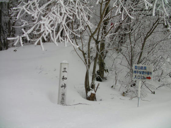 1442　三和峠で樹氷が綺麗だったので停車して見てみました