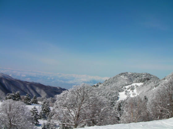 959　う～ん。気持ちの良い青空