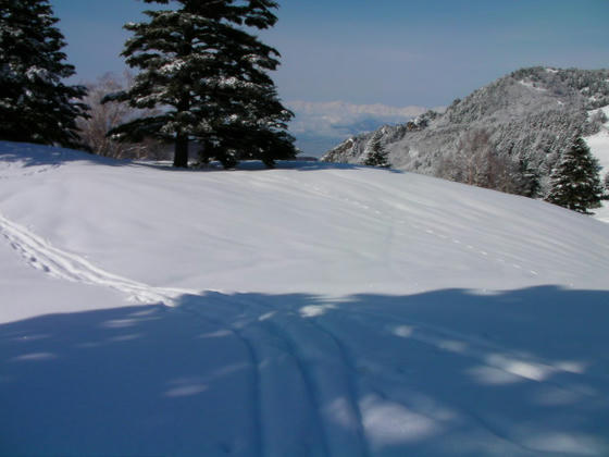1001　また山を(笑)