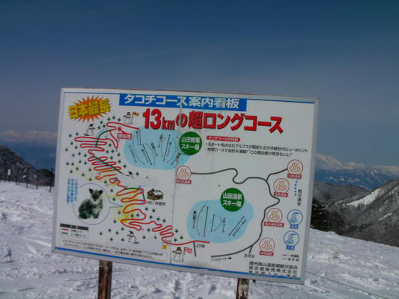1152　恒例のタコチ看板