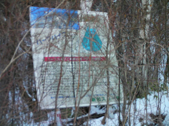 1557　殆ど藪漕ぎしながら進むと、何やら看板が…ハーフパイプがあったようです。