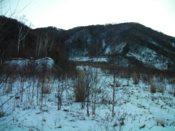 1602　藪漕ぎしながら薄い雪の上を何とか滑ってきました。こりゃ完全に山スキーですorz