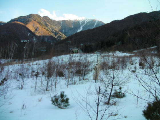 1602　クワッド山頂駅方向。こちらの方が開けた感じですが、滑ってないので実態は判りません