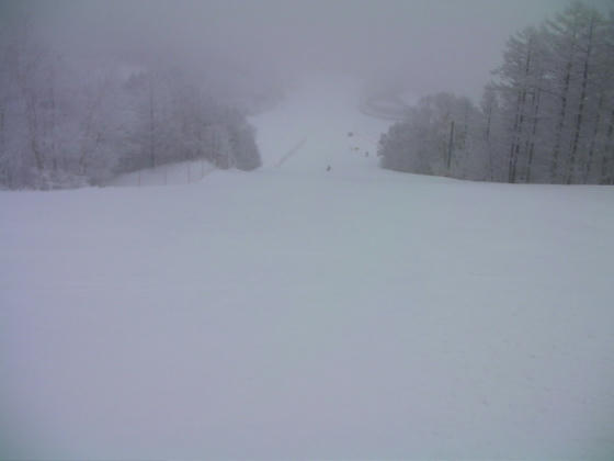 941　1900ｍのTOPから降って来るとある標高から視界が開けました