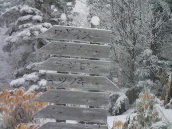 923　１リフ降りた山頂のコース看板