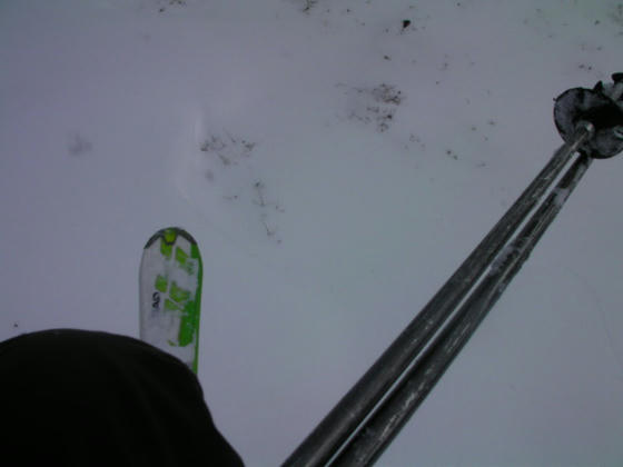 1125 間違ってシャッターを押した画像ですが、雪の感じが出てるのでそのまま仕様。遠目全面行けそうですが、近目ではブッシュ・笹・倒木等が散見されました
