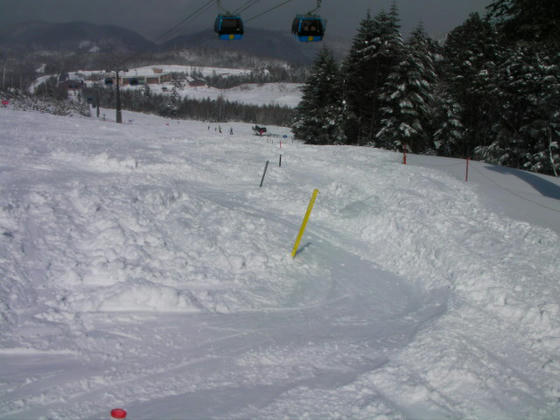 1330　みんなのコブ。一見新雪のコブに見えたが、実は氷だったというトラップ。一回滑って終わり
