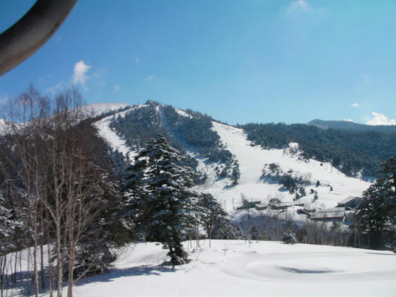 914　朝日山ゲレンデ。あちらが最高地点2008mのようです