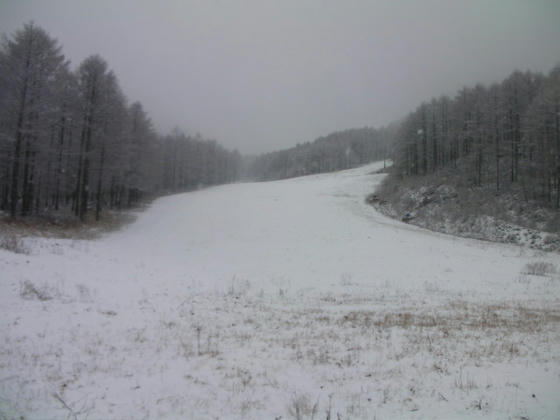 1127　一見滑れそうに見えますが、今朝からの降雪が3cm程度あるだけ…