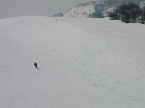 1246 AとBの境になっている片斜面の法面を滑ってみましたが、腐り雪で加速しない、曲がれないで美味しくなかったです