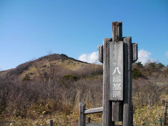 1532 八ヶ岳定点ポイントから見て、鷲ヶ峰に雪の無いのは判っていましたが、全くありませんorz
