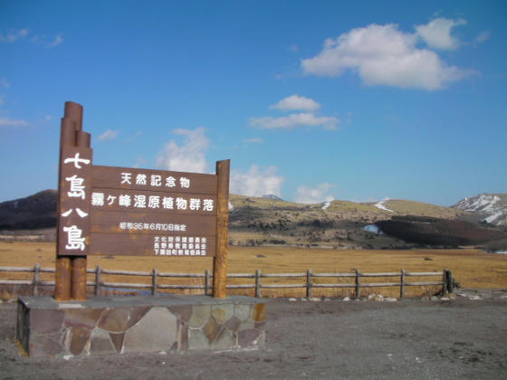 1532　八島湿原にも全く雪無し…冬枯れの風景が広がっていました