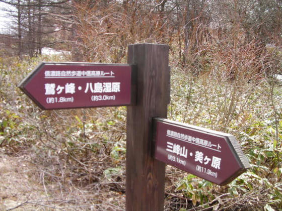 1257 八島湿原まで3.0Km。鷲ヶ峰山頂まで1.8Kmですが残雪が見えていたので素直にアスファルトの道を選択しました(苦笑)