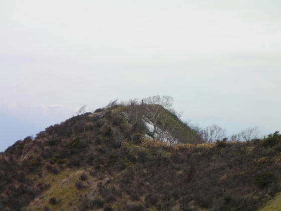 1434　目指す鷲ヶ峰主峰