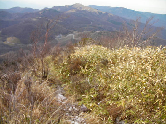 1446　和田峠方向への登山道。ここは雪が無いが…