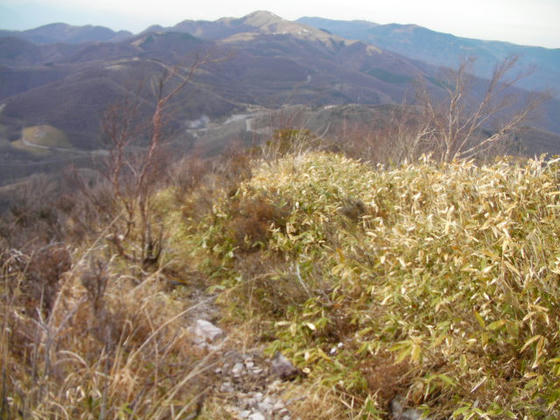 1446 和田峠方向への登山道。ここは雪が無いが…