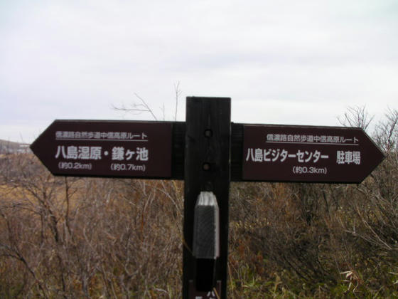 1534 八島湿原木道まで200m