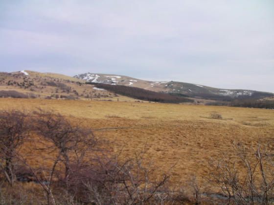 1539　鷲ヶ峰登山道の分岐を進み八島湿原の木道に出ました。車山と蝶々深山かな？