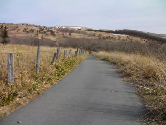 1550　ちょっと興醒めなアスファルト道路orzこの先は砂利道になりました。ヒュッテ御射山から車道が通じていました