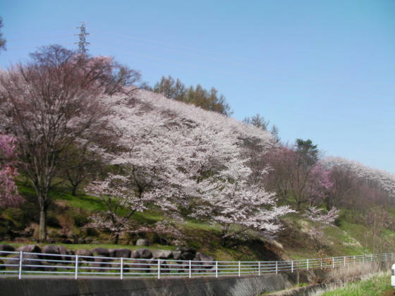 928　東山山麓線を使って到着。こちらは裏口でした(苦笑)