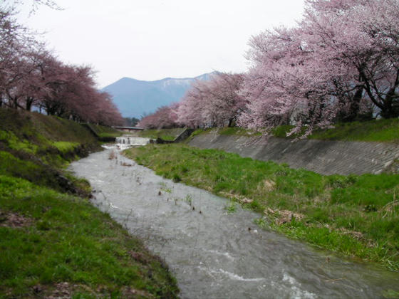 1139 河原に降りて上流側
