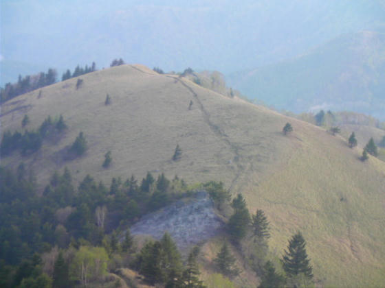 641　扉峠方向への登山道です。見えているピークまで行こうと提案しましたが却下されました(苦笑)