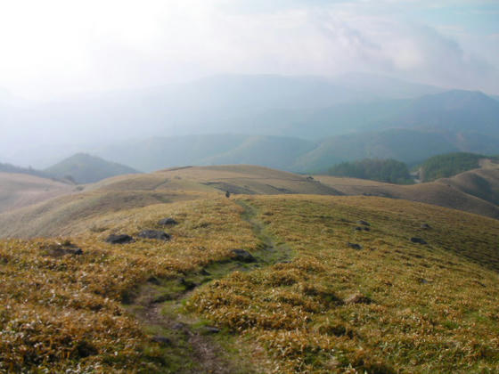 703 八ヶ岳方向