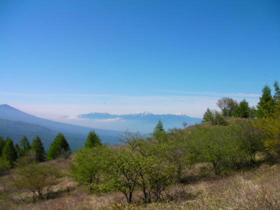 831　稜線へ出ると視界が開けます。南アルプスがお出迎え～。富士山は雲の中へ隠れてしまいました