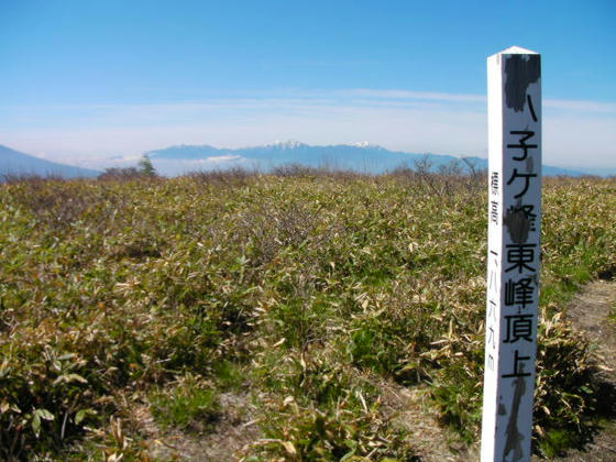 842　八子ヶ峰東峰1869m到達。良い天気です！