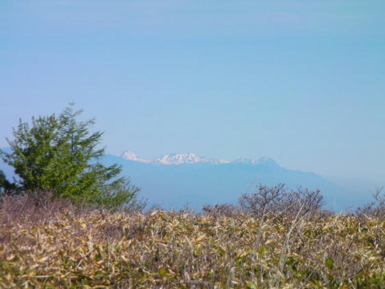 844　妙高山系をズームアップ