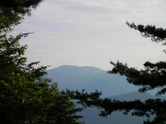 1733　山頂(朝倉城址)からは西側の守屋山が見えました