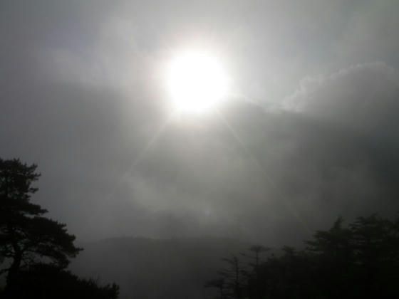 600　一瞬霧が薄くなり太陽が見えました