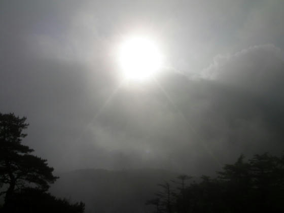 600 一瞬霧が薄くなり太陽が見えました