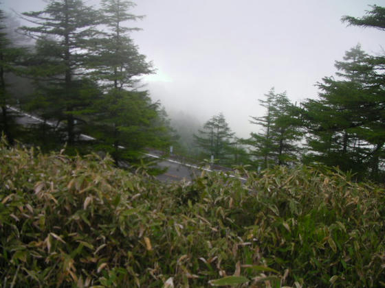 651　登山道の直ぐ脇をビーナスラインが通っていて排気音がビンビン聞こえます(苦笑)