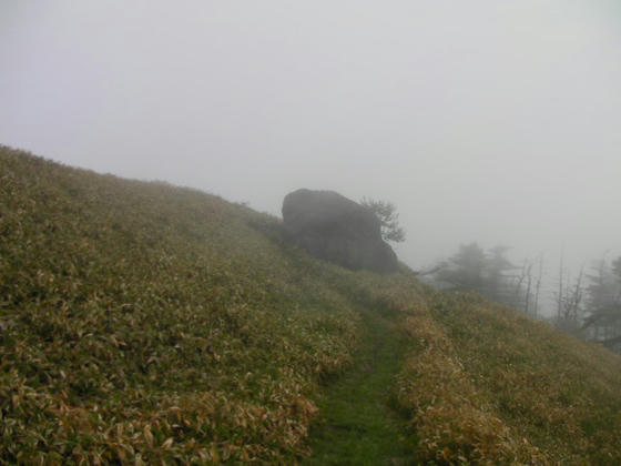 658　霧で相変わらず見えないので、この大岩で引き返しました
