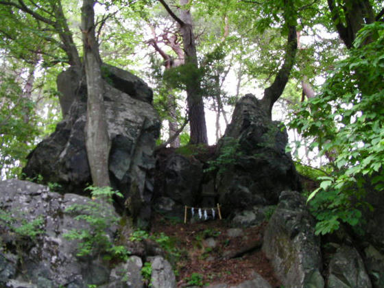 557　もう一つ神社があって上部には岩から樹木が生えていました！