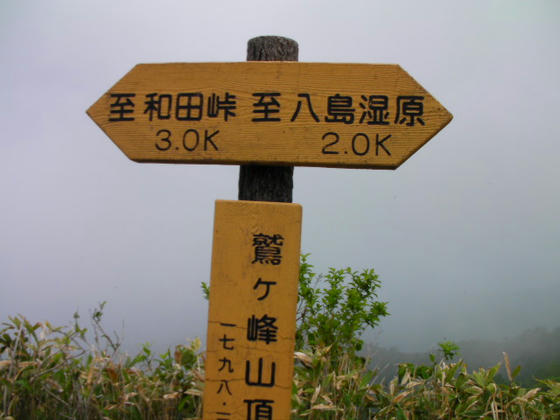 1119 山頂到達