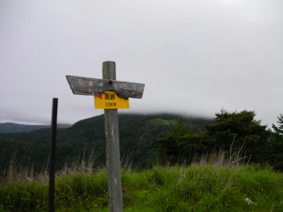 605　稜線に出ましたが、雨が強くなってきて風も強めです。肝心の茶臼山は雲の中orz