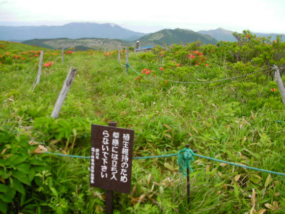 733　青い屋根の建物へは現在は行けないようです