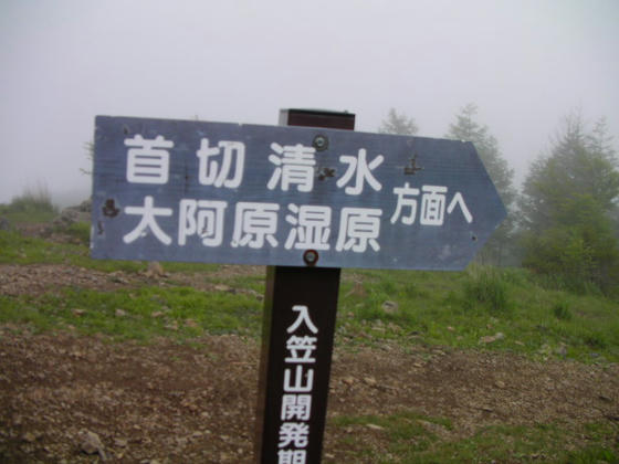 1552 霧が深くなり360度何も見えなくなってしまったので下山します。岩場迂回コースです