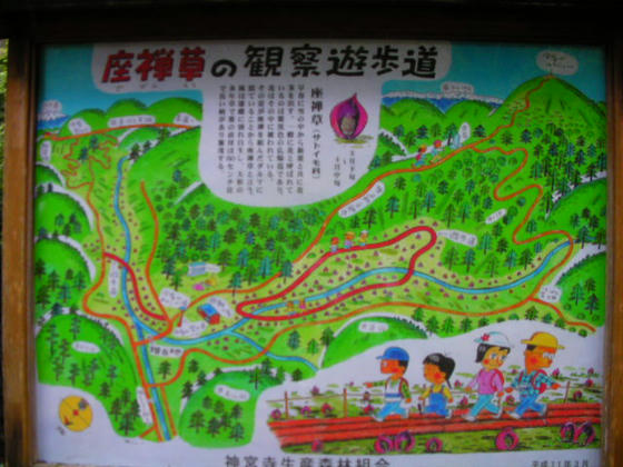 1540　分杭峠のキャンプ場から登山開始です