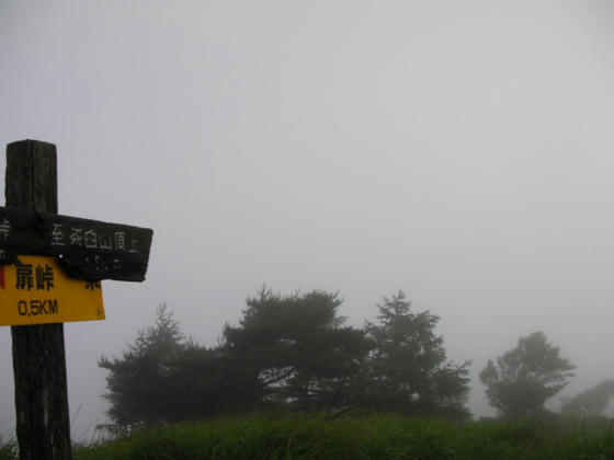 609　前回断念した地点の稜線出会いです。霧で視界はありませんorz