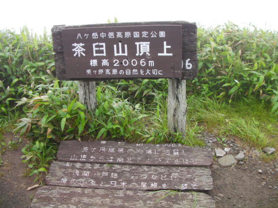 651　山頂到達。前夜の雨と霧露で靴の中はビッショリでしたorz