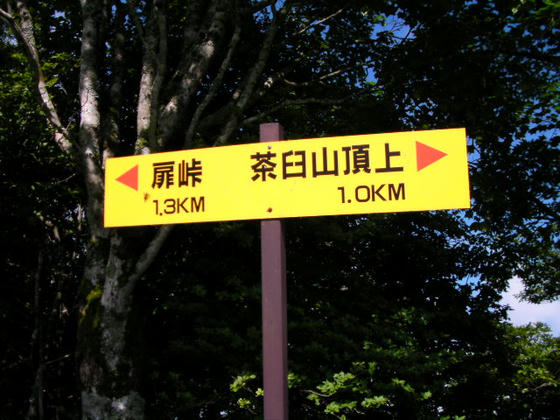 807 距離表示がおかしいかも???