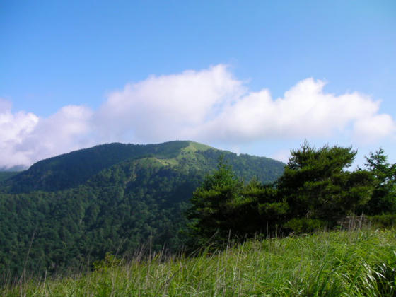 820　晴れていればこんな感じで茶臼山の山頂が見えます