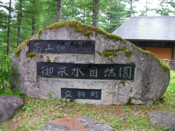 618 ビジターセンター側は高山植物園のようです