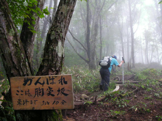 613　杖突峠ルート最難関の胸突坂通過